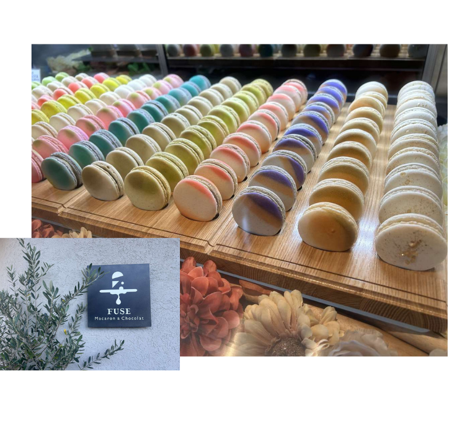 Macaron&chocolat FUSE